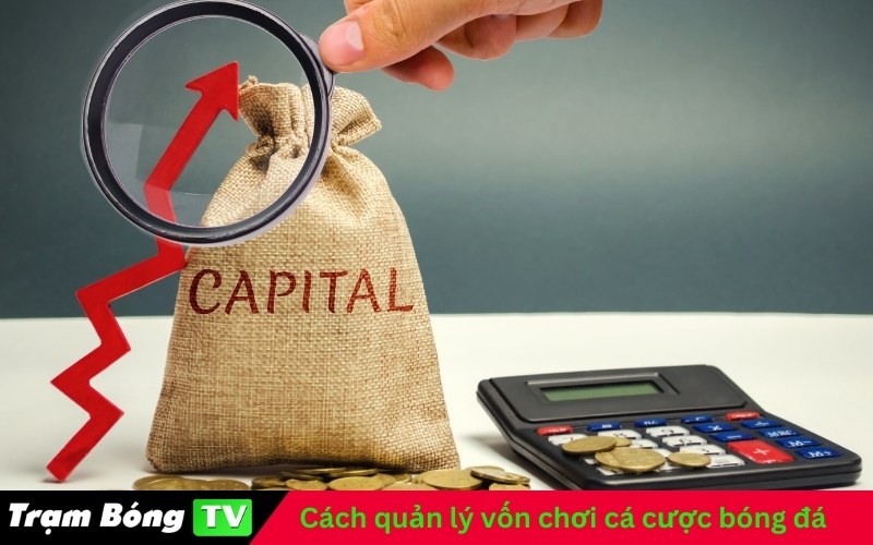 Cách quản lý vốn chơi cá cược bóng đá