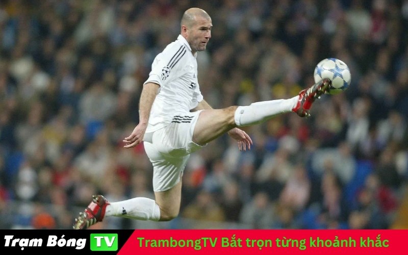 TrambongTV Bắt trọn từng khoảnh khắc